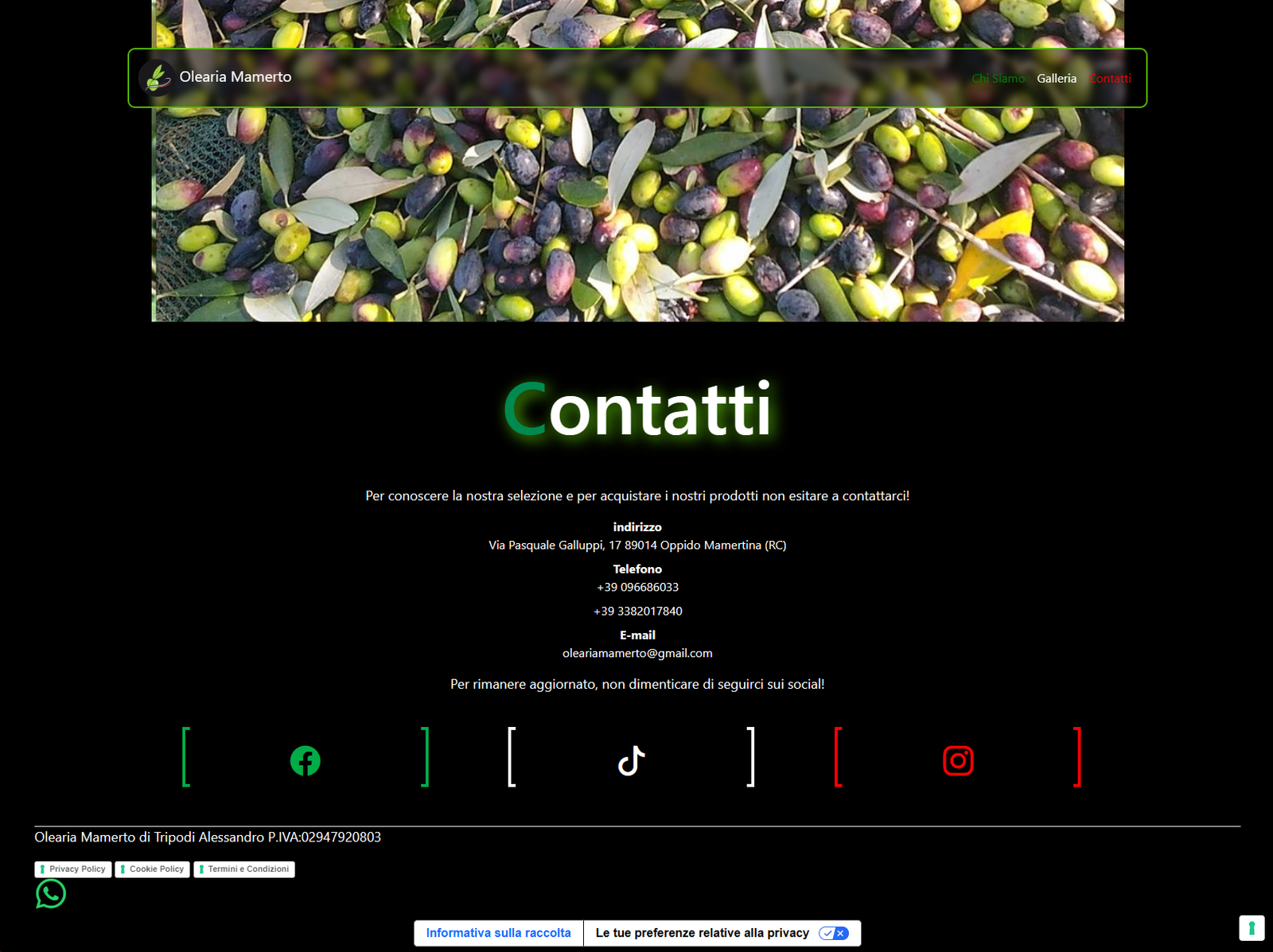 Screenshot 4 del progetto Olearia Mamerto